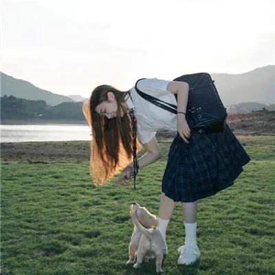 西城记